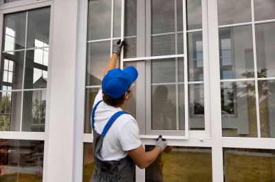 Window Repair Experts