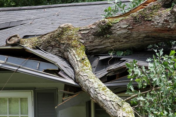 Cost of Storm Remediation in Bentonville