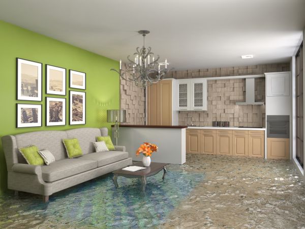 Wet Carpet Drying in Bentonville