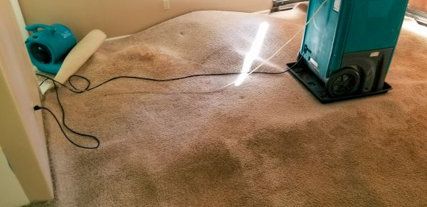 Carpet Water Extraction in Bentonville